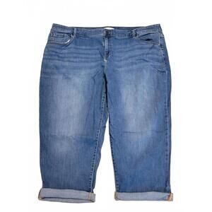 Lane Bryant Flex Magic Waistband Mid Rise Pride Boyfriend Jeans Plus Size 24